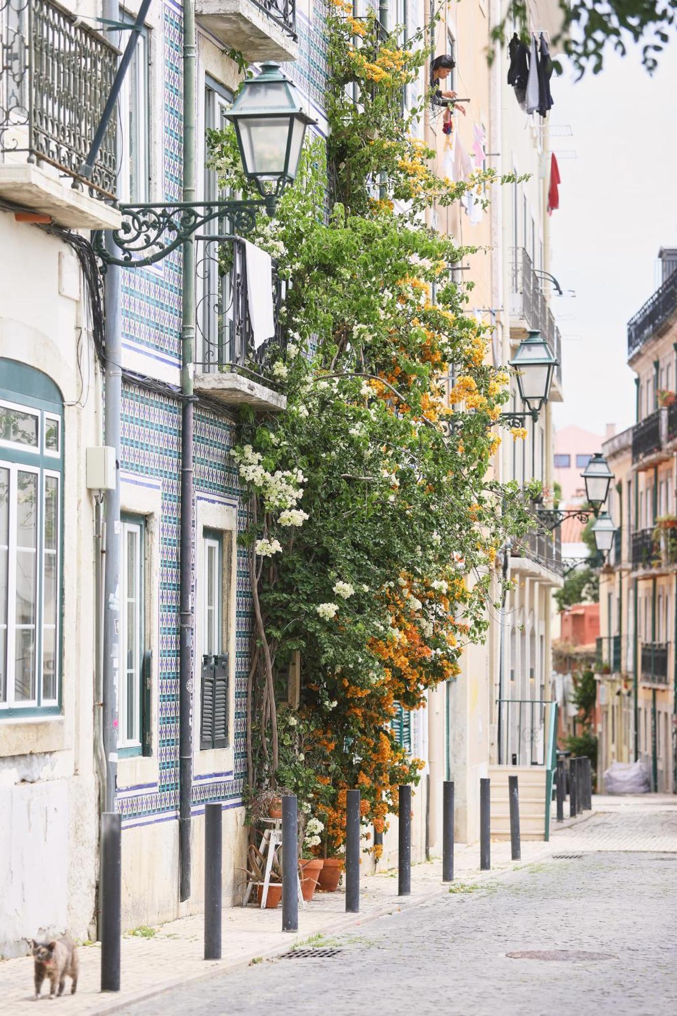 Bica Little House By Spoton Apartments Lissabon Zimmer foto